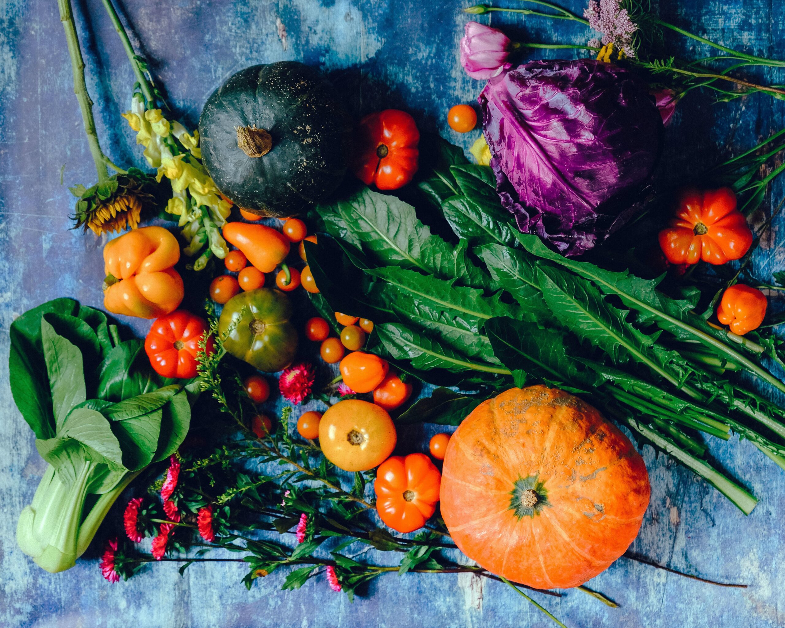Healthy Harvest: The Best Fall Veggies to Plant in Long Beach