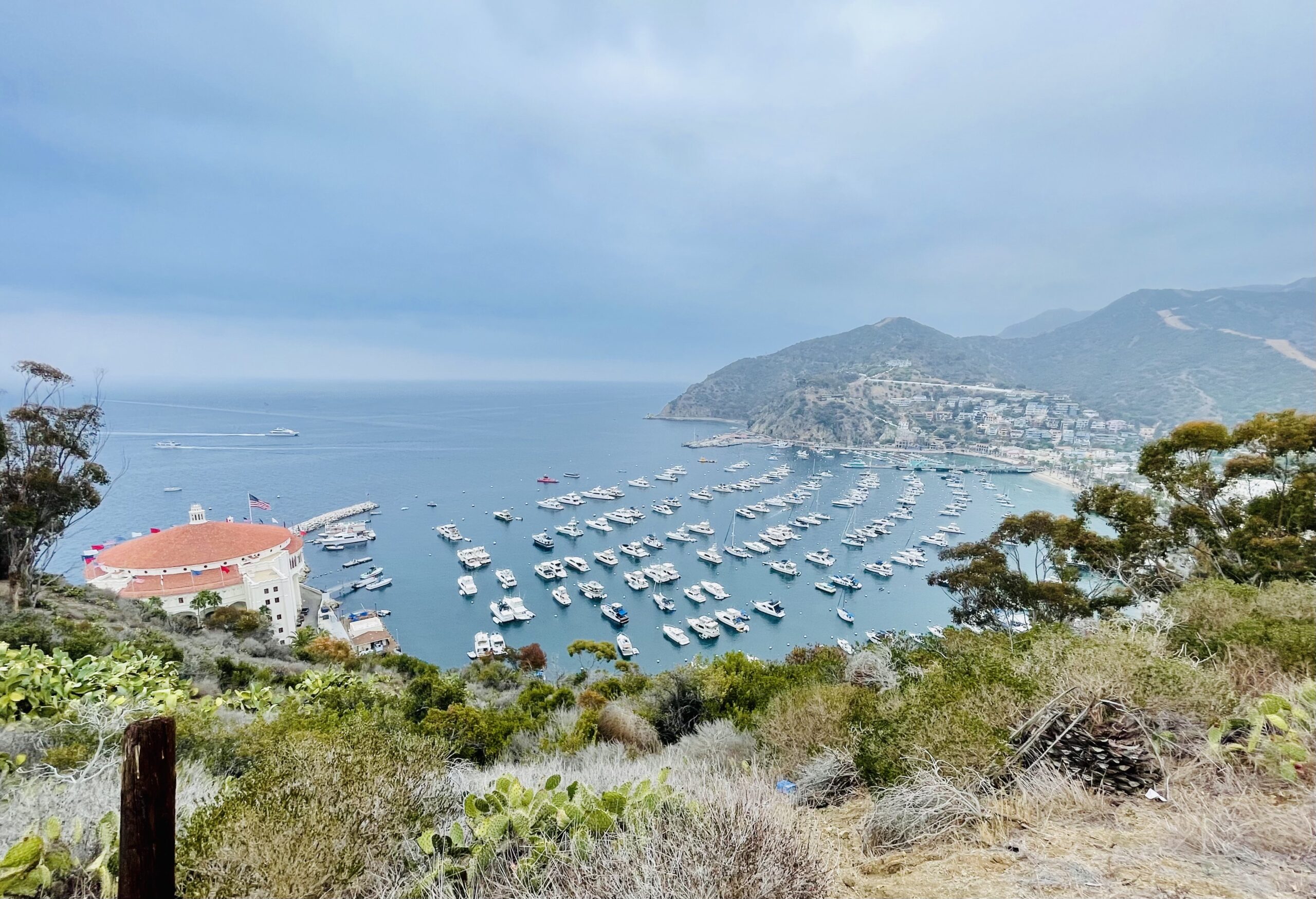 A Quick Getaway: Catalina Island