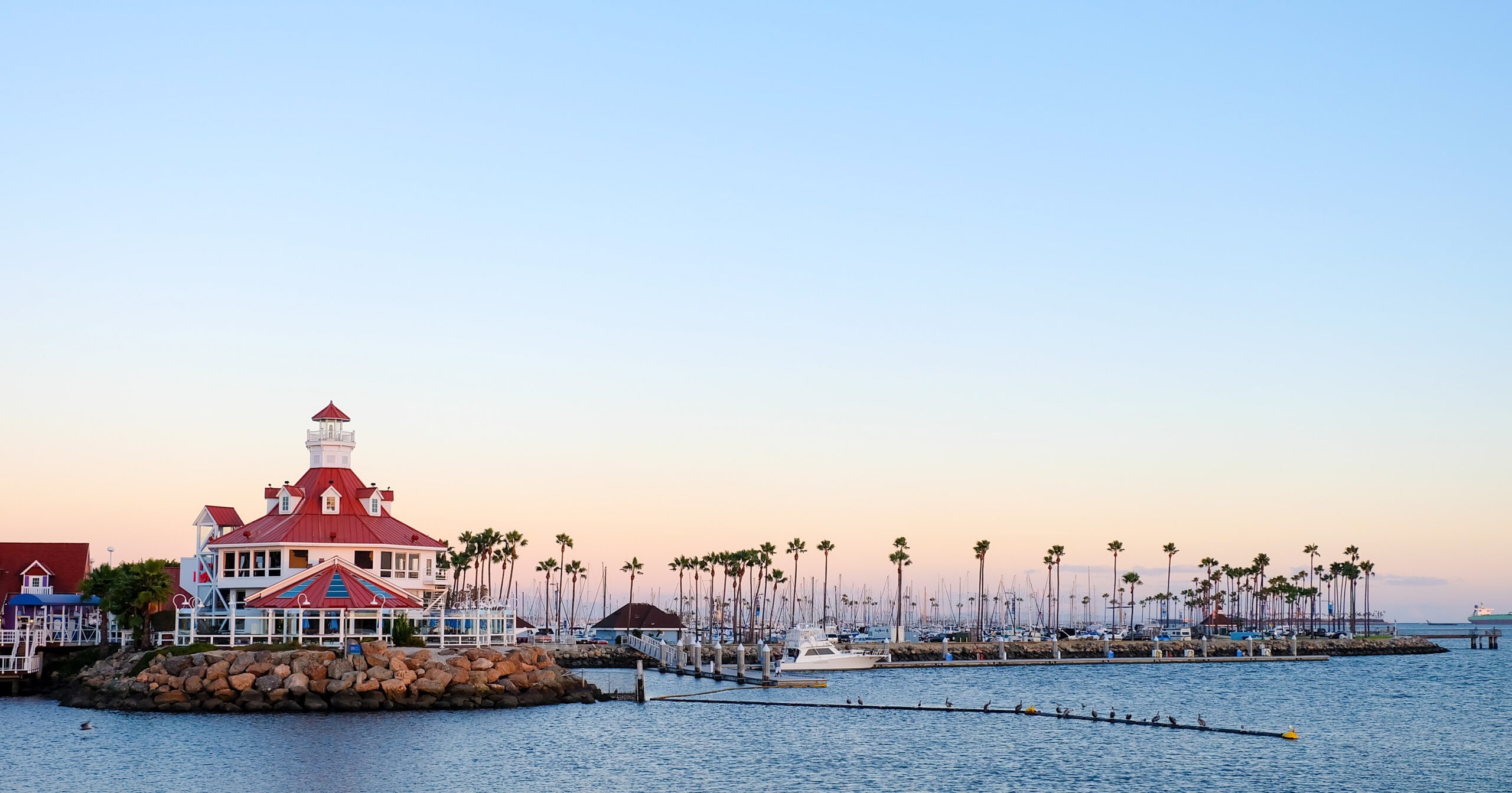 Fun ideas to do in Long Beach to break up your routine