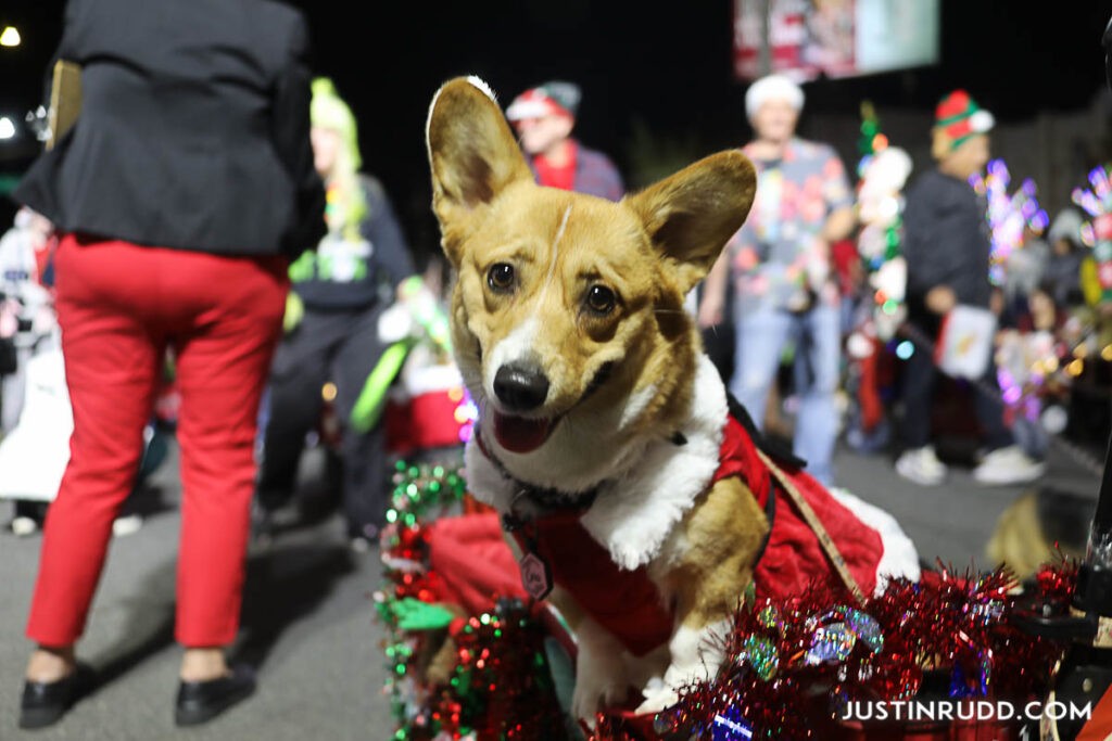 Belmont Shore Gears Up for Its 39th Annual Christmas Parade LB Living